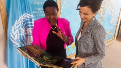 Jamaica successful in bid for seat on another UNESCO Committee