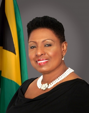 Grange to Head Jamaica National Commission for UNESCO - Announces New Board